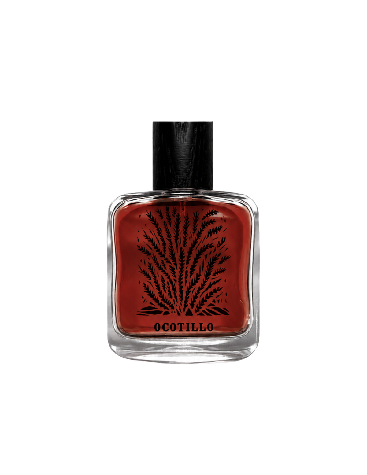 TESTER BOTTLE | Eau de Parfum | 50 ML / 1.7 fl oz.